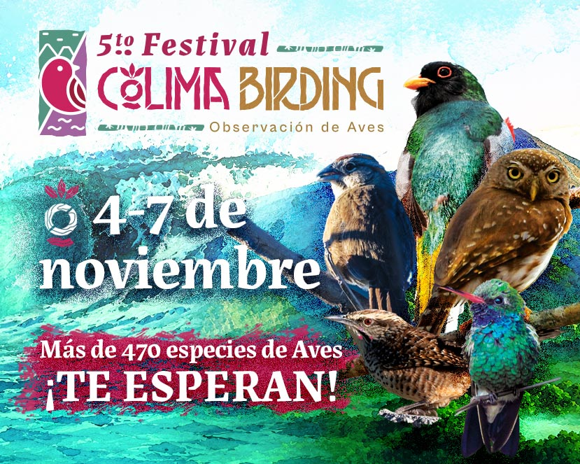 COLIMA BIRDING 2026